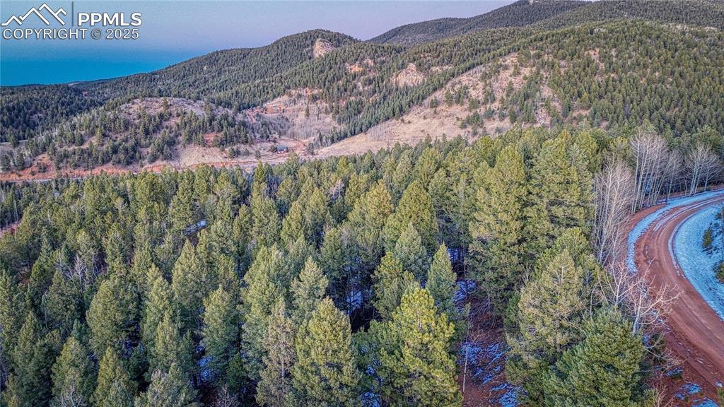 959 Calcite Dr., Divide, CO 80814