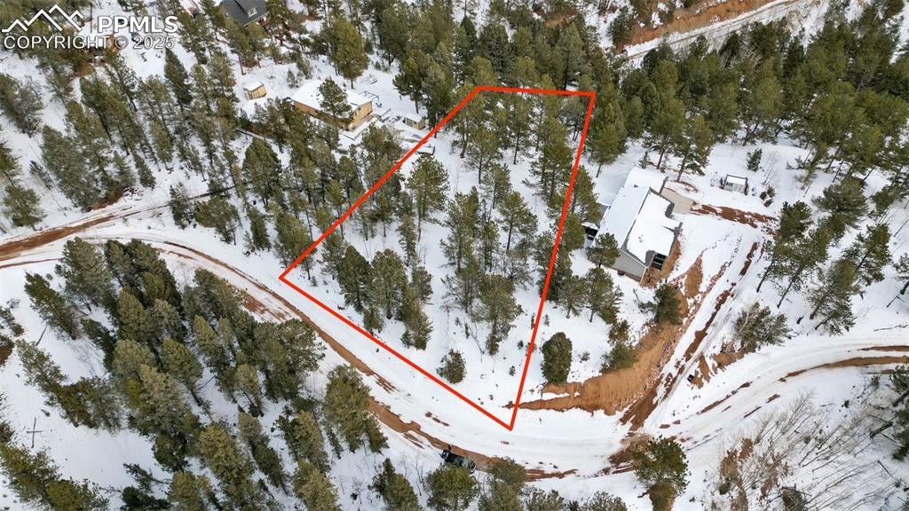 694 Horseshoe Dr., Divide, CO 80814