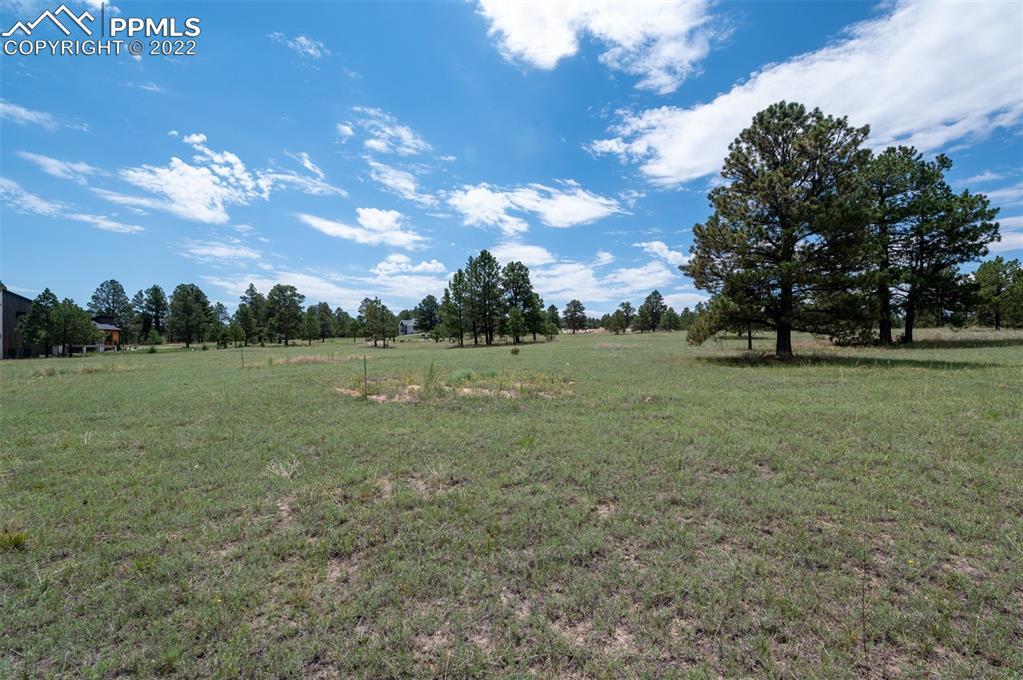 11156 Mosey Tr., Colorado Springs, CO 80908