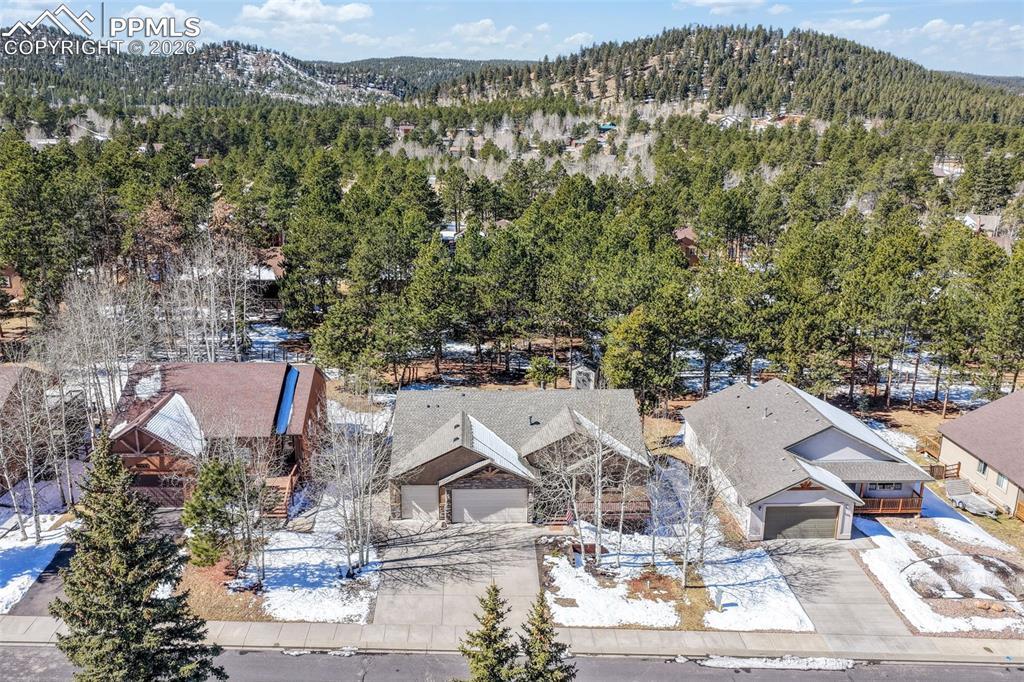 1116 Ptarmigan Dr., Woodland Park, CO 80863