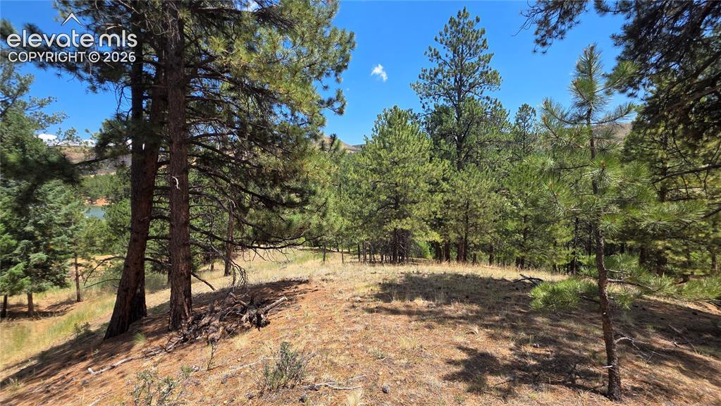 15394 Westcreek Rd., Woodland Park, CO 80863