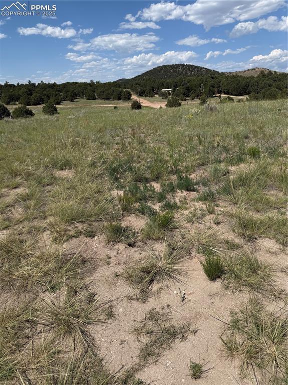 1739 17th Tr., Cotopaxi, CO 81223