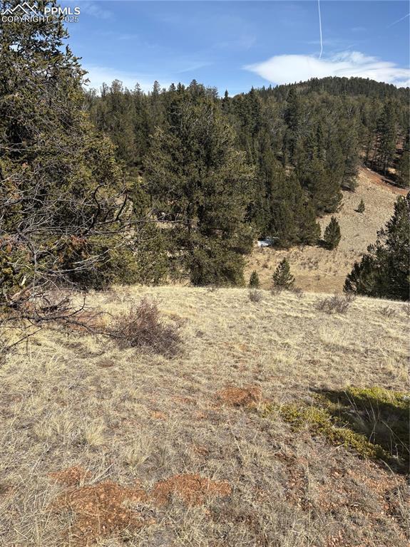 70 Brown Bear Ln., Cripple Creek, CO 80813