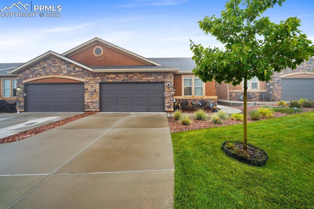 8182 Potentilla Grove, Colorado Springs, CO 80908