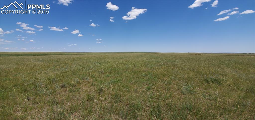 7830 Buckskin Ranch View, Peyton, CO 80831