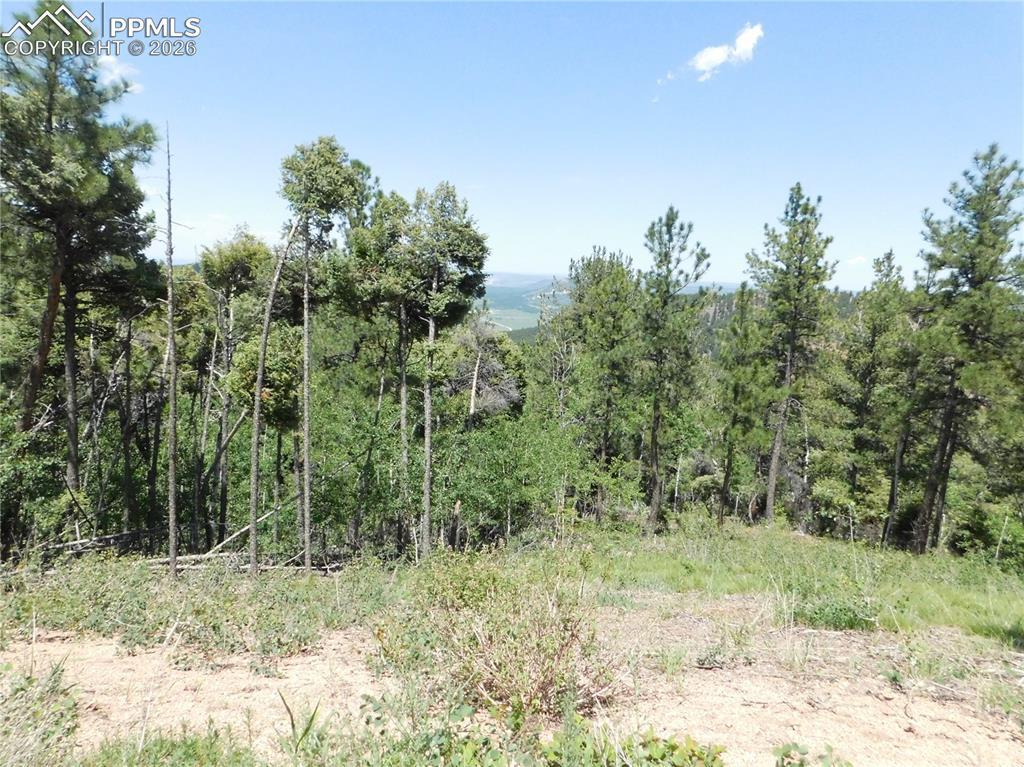 13670 Spruce Creek Cir., Larkspur, CO 80118