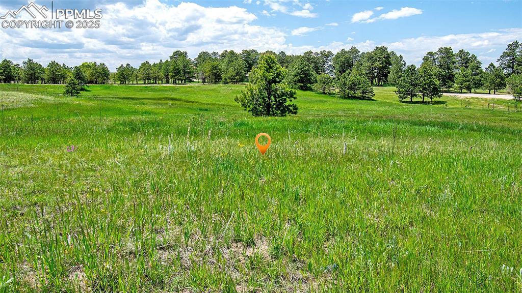 17255 Forest Green Way, Elbert, CO 80106