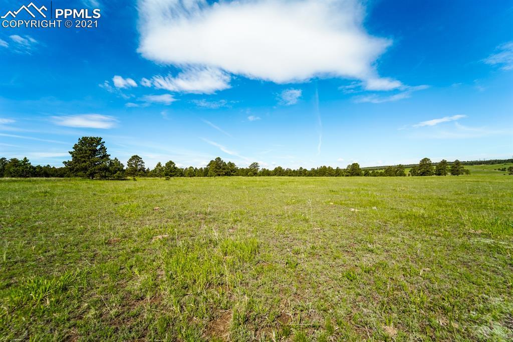 11515 Bison Meadows Ct., Colorado Springs, CO 80908