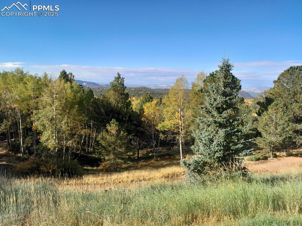 578 Crystal Dr., Cripple Creek, CO 80813