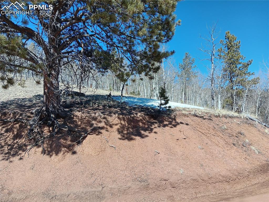 149 No Name Ln., Cripple Creek, CO 80813