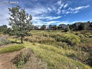 6463 Bluffmont Point, Colorado Springs, CO 80923
