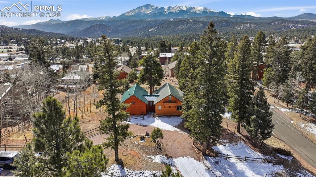 311 E Bowman Ave., Woodland Park, CO 80863