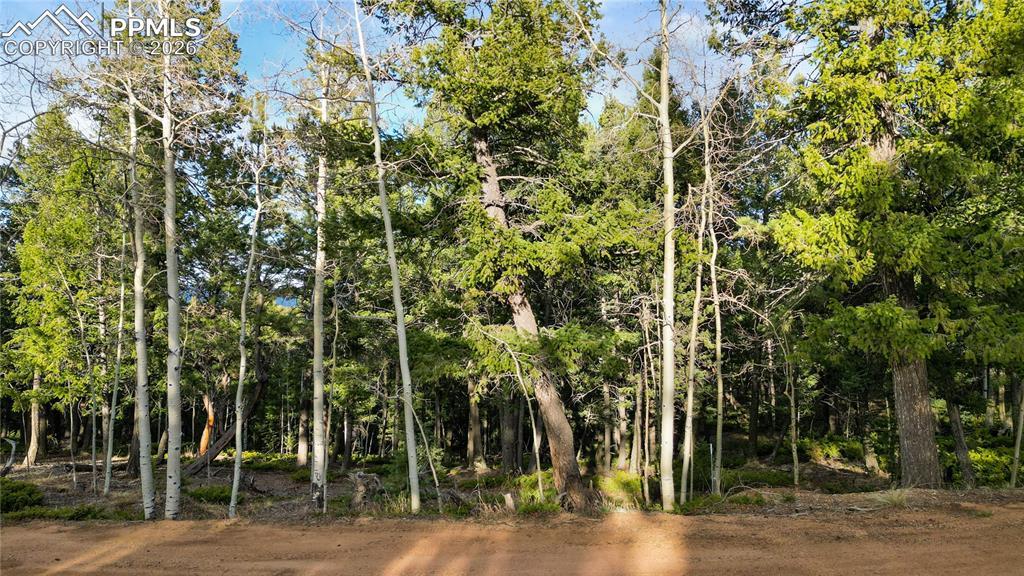 68 Yale Pl., Woodland Park, CO 80863