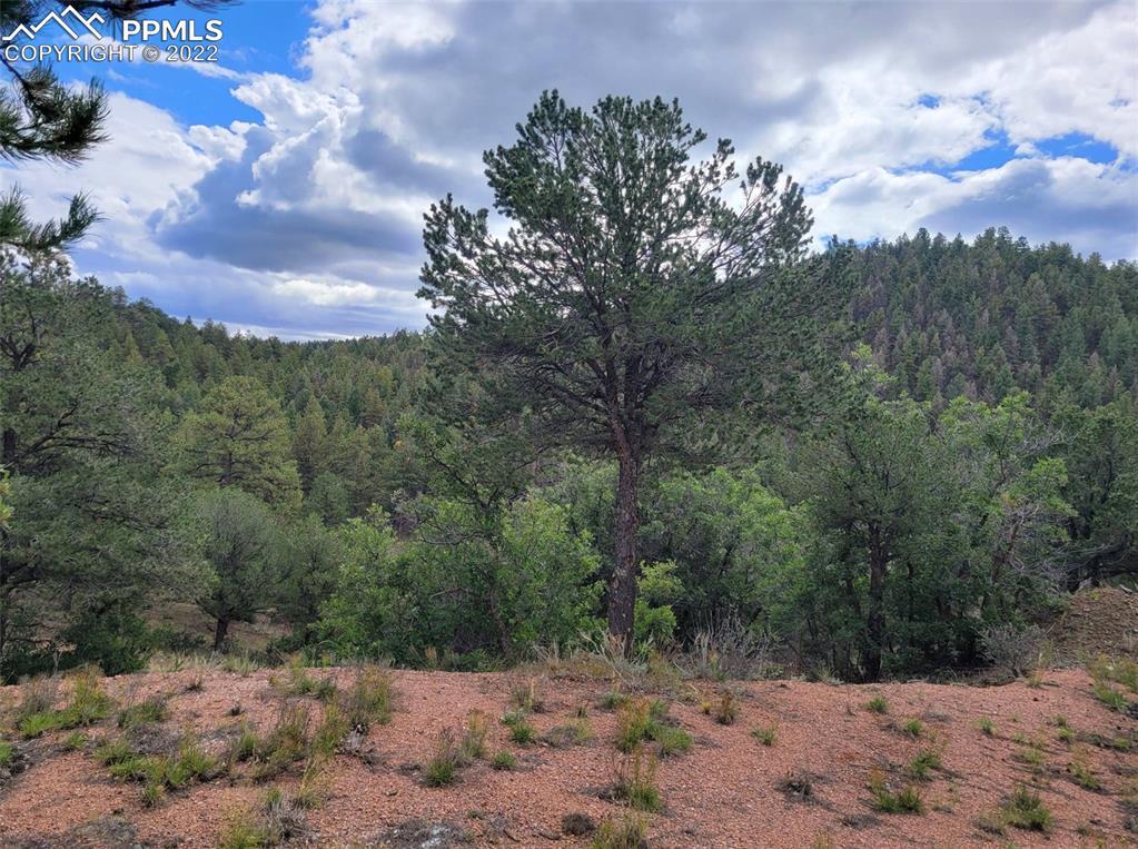 198 Staghorn Ln., Canon City, CO 81212