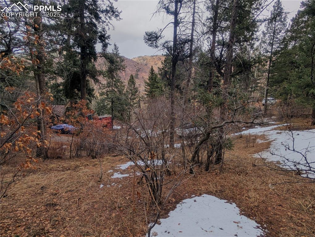 TBD Mountain Rd., Cascade, CO 80809