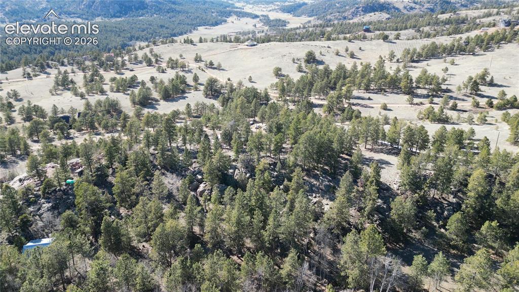 421 Crescent Dr., Florissant, CO 80816