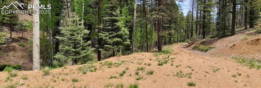 620 Steep Rd., Manitou Springs, CO 80829