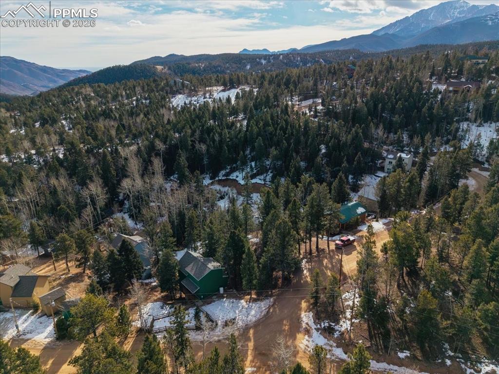 41 Tecumseh Ln., Woodland Park, CO 80863