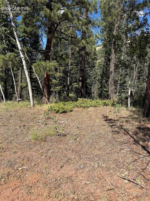 1007 Derby Dr., Cripple Creek, CO 80813
