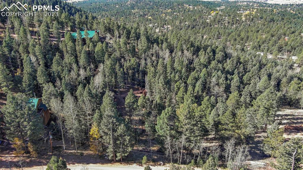 2700 N Mountain Estates Rd., Florissant, CO 80816