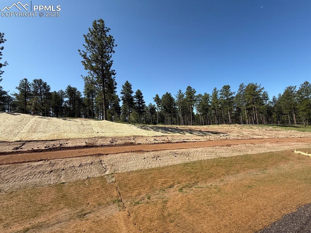 14882 Quartz Creek Rd., Colorado Springs, CO 80908