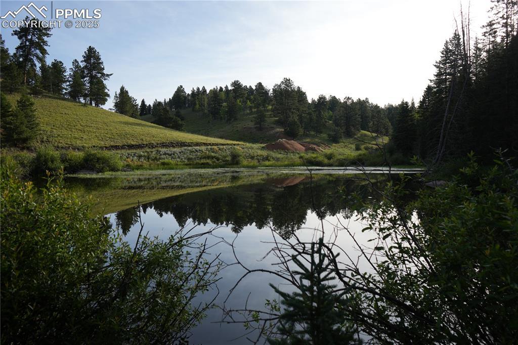 4195 Cedar Mountain Rd., Divide, CO 80814