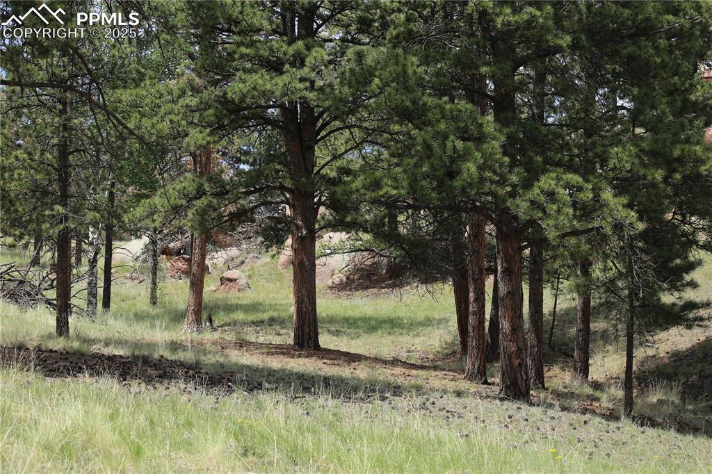 247 Deerfield Cir., Florissant, CO 80816