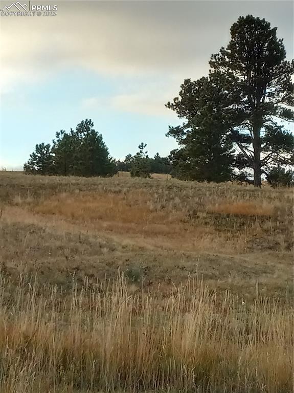 4643 Settlers Ranch Rd., Colorado Springs, CO 80908