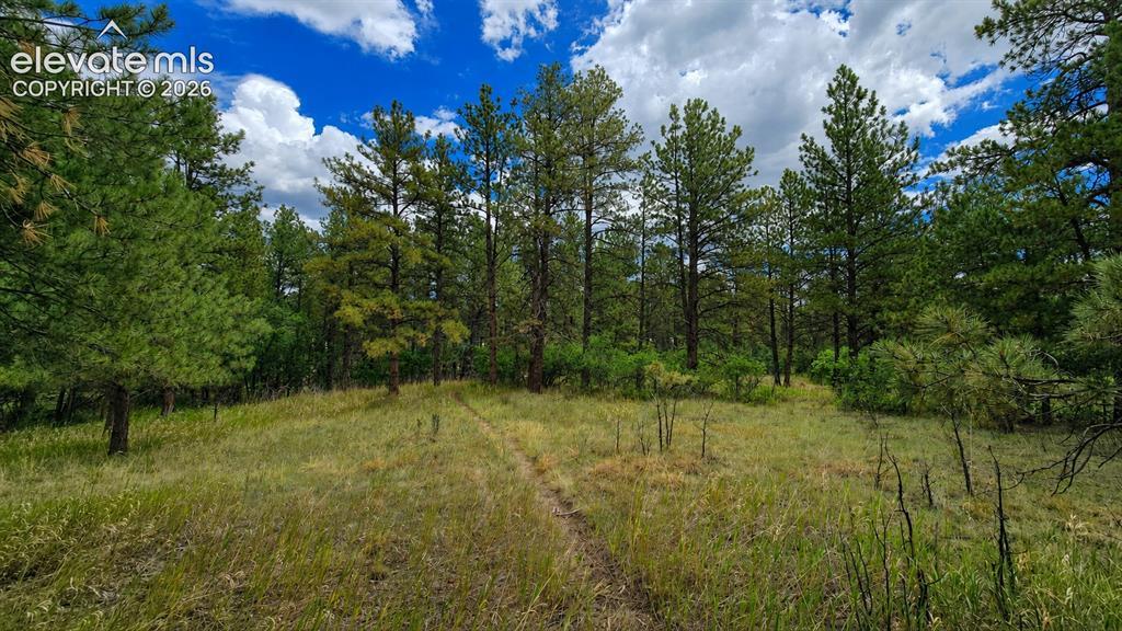00 Westwood Rd., Colorado Springs, CO 80919