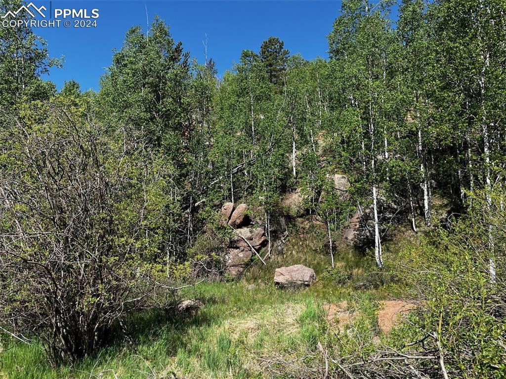 2136 Golden Cycle Cir., Cripple Creek, CO 80813