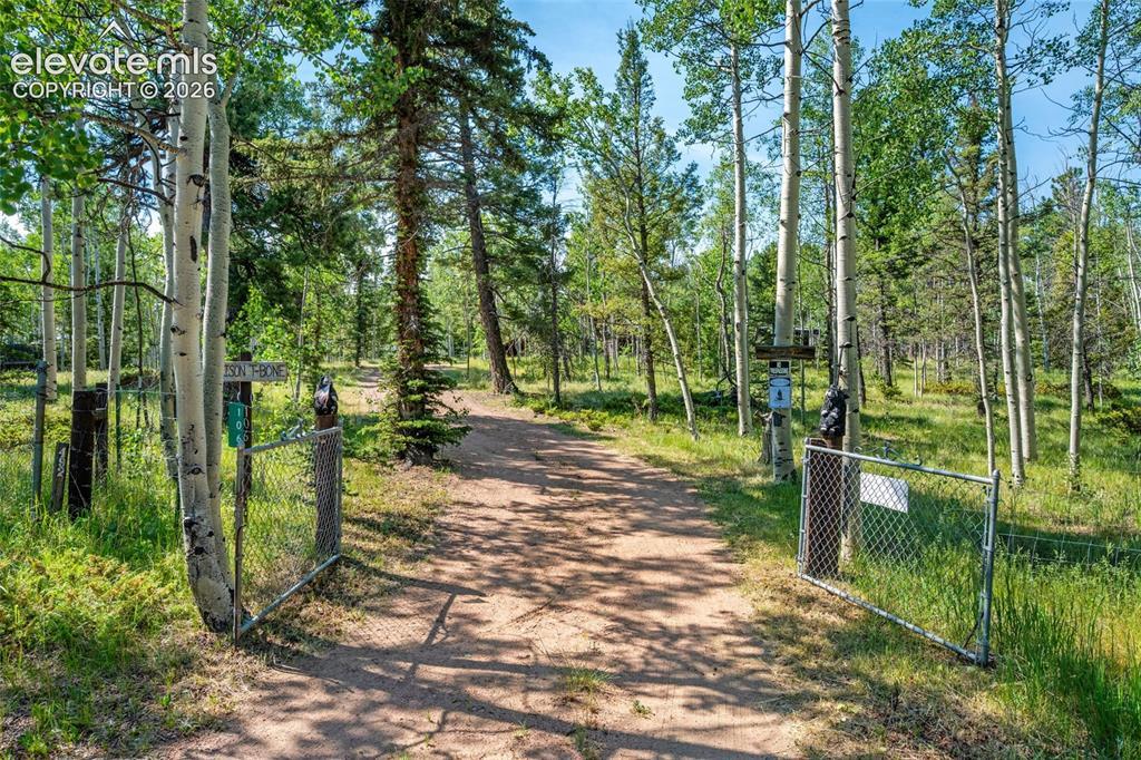 106 Forest Ct., Guffey, CO 80820