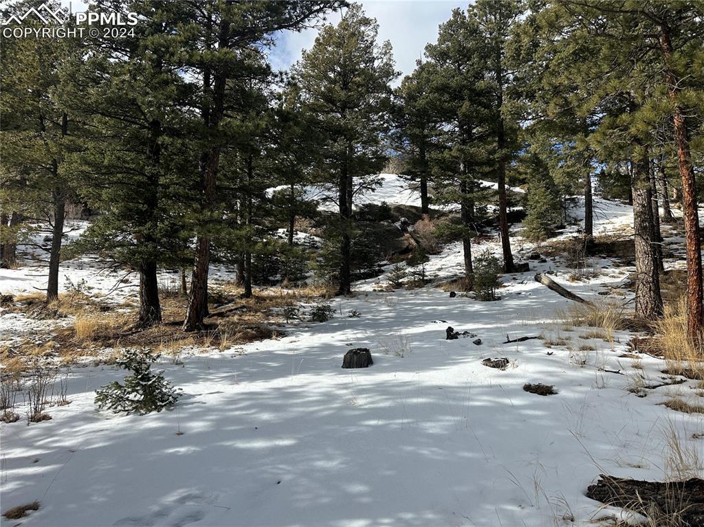 174 Spruce Rd., Manitou Springs, CO 80829