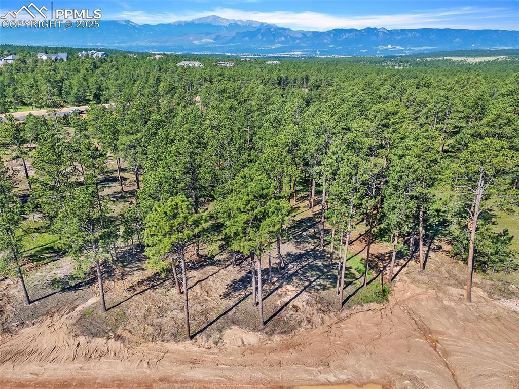 14532 Quartz Creek Rd., Colorado Springs, CO 80908