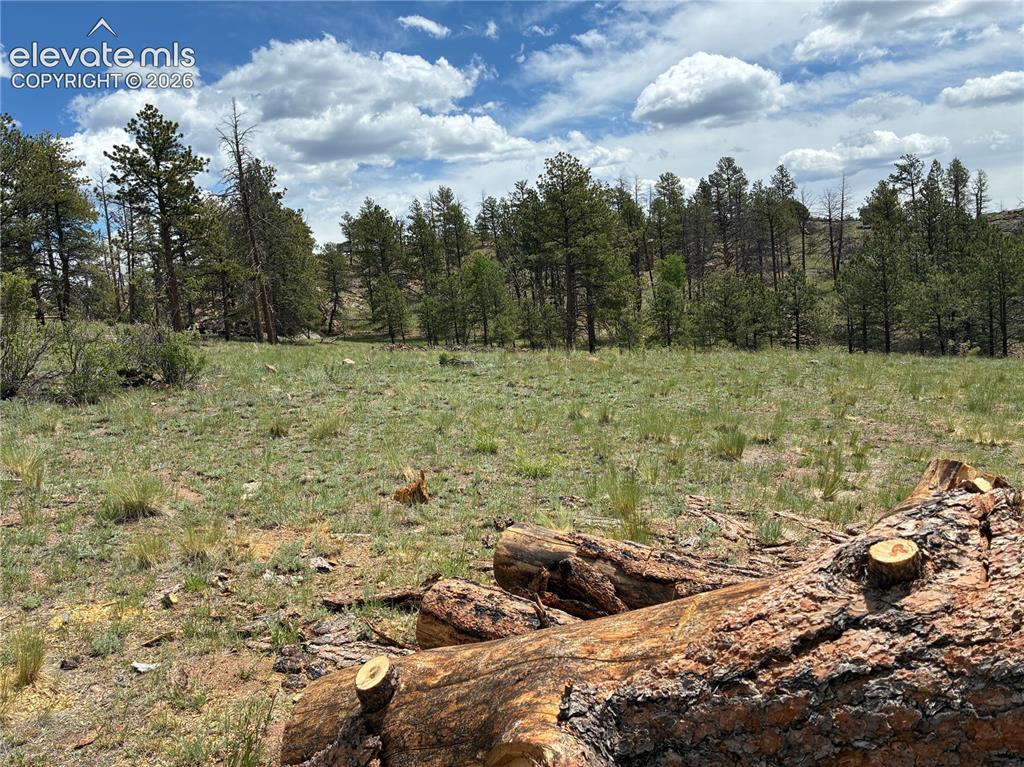 266 Chapparal Tr., Florissant, CO 80816