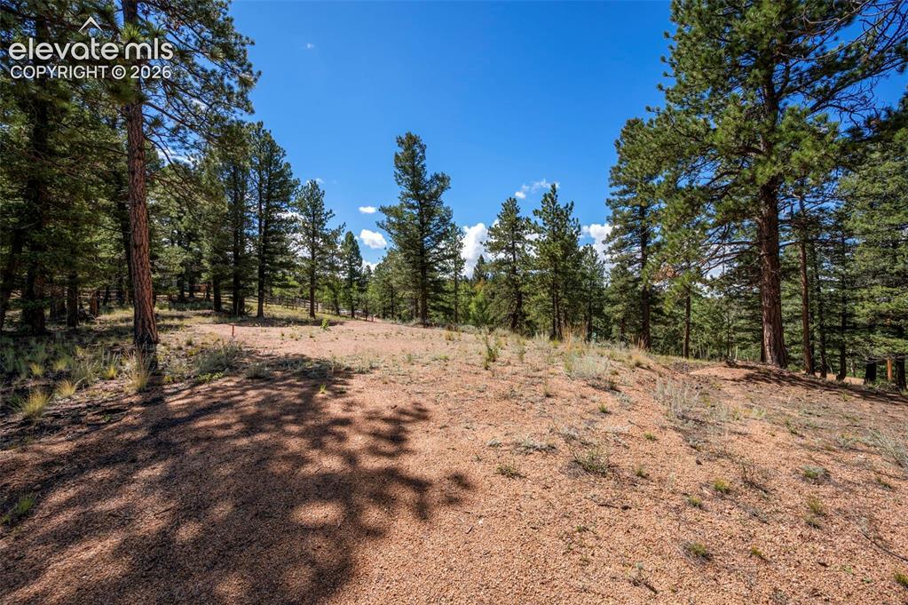 210 Donzi Tr., Florissant, CO 80816