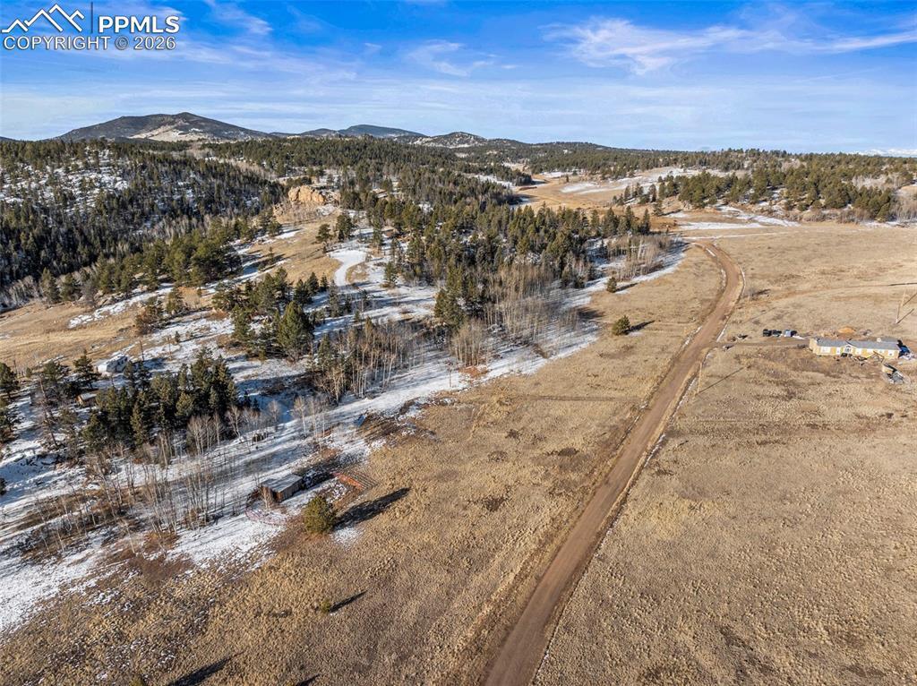 546 Alpine Meadows Ln., Florissant, CO 80816