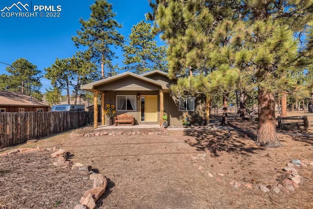601 Dallas Alley, Woodland Park, CO 80863