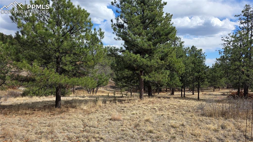 2002 Comanche Cir., Florissant, CO 80816