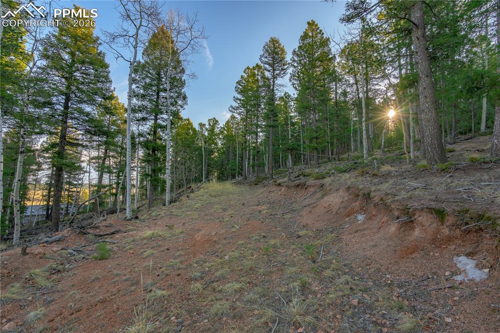 88 Malmsey Ln., Divide, CO 80814