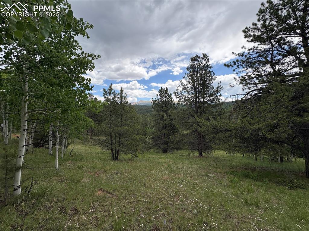532 May Queen Dr., Cripple Creek, CO 80813