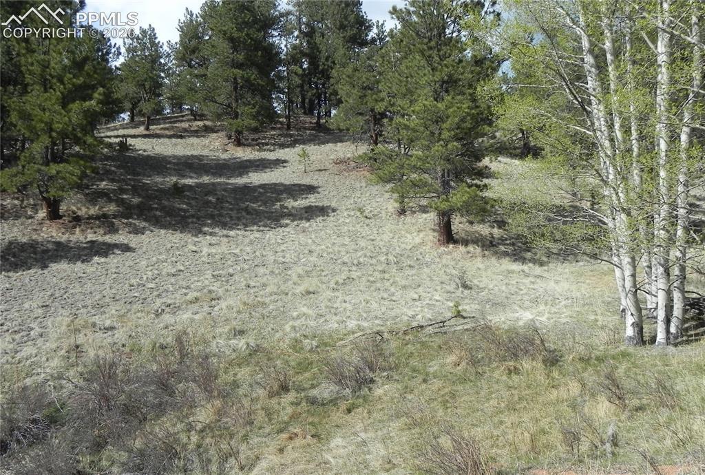 1699 Monarch Dr., Cripple Creek, CO 80813