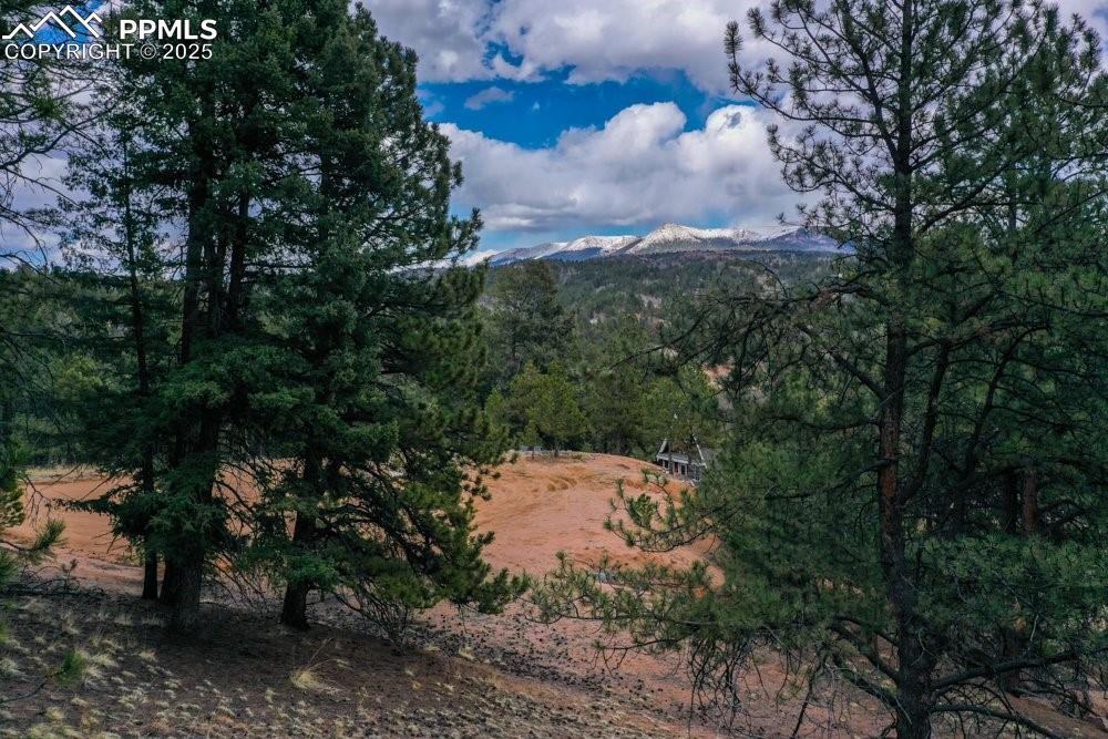102 Blue Bell Cir., Cripple Creek, CO 80813
