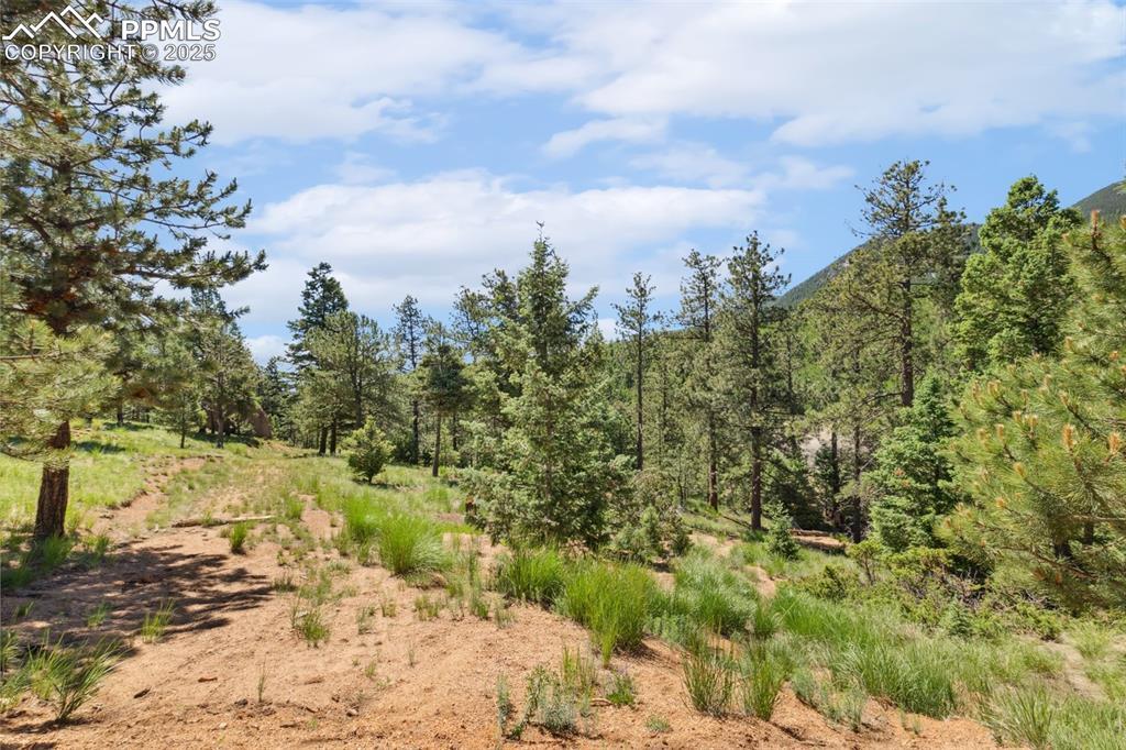 6050 Coffee Pot Rd., Manitou Springs, CO 80829