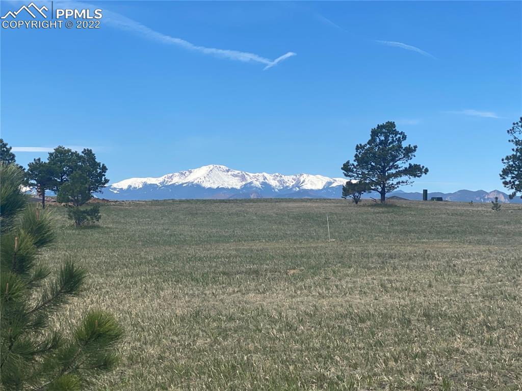 4257 Silver Nell Dr., Colorado Springs, CO 80908