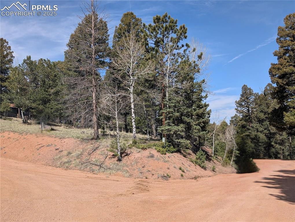 971 Spring Valley Ln., Florissant, CO 80816