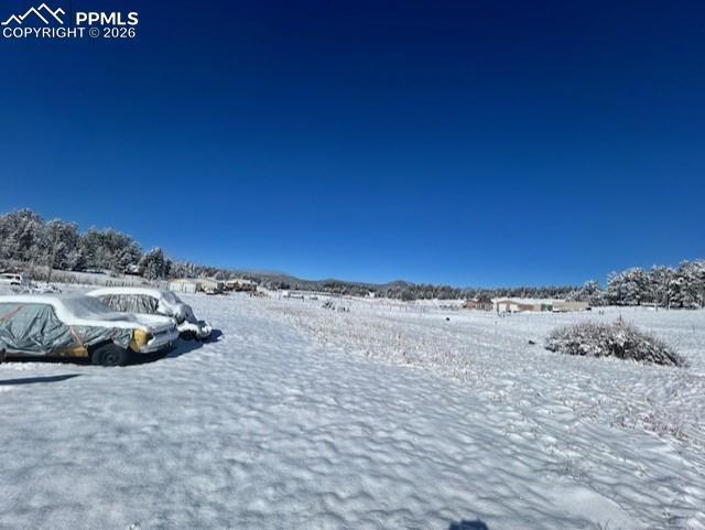 84 Wrangler Dr., Lake George, CO 80827