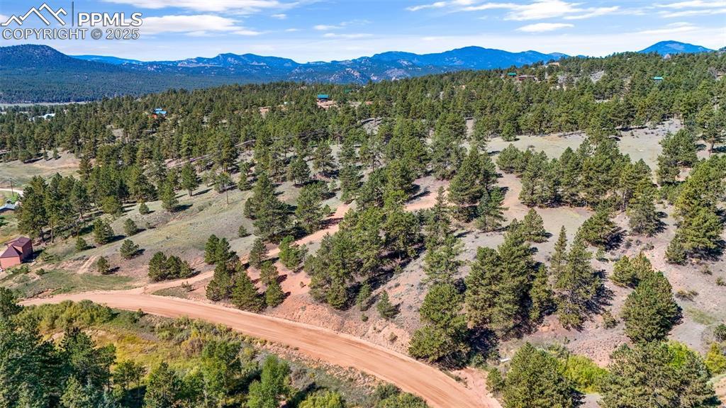 163 Valley View Dr., Florissant, CO 80816