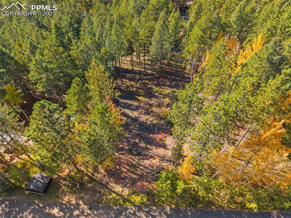 1320 Forest Edge Rd., Woodland Park, CO 80863