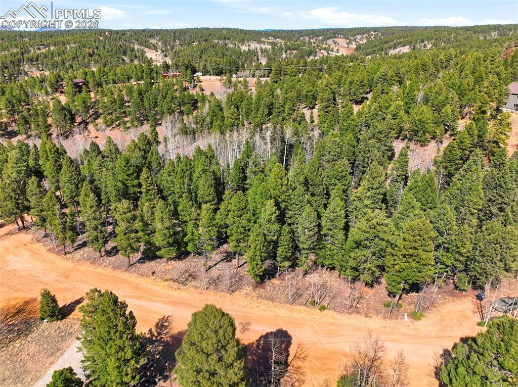 278 Cherry Lake Dr., Divide, CO 80814