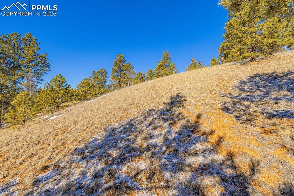 772 E Bison Creek Tr., Florissant, CO 80816